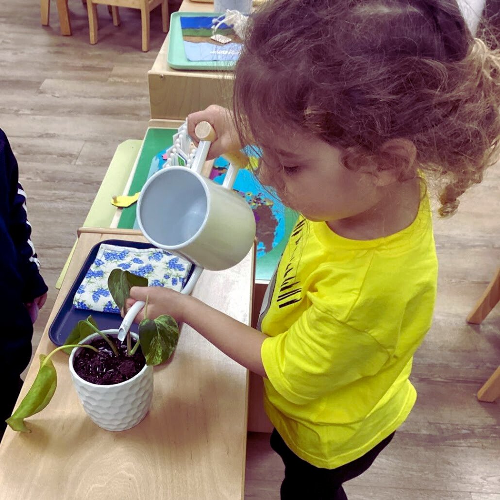 Montessori Benefits of Gardening: Cultivating a Green Thumb