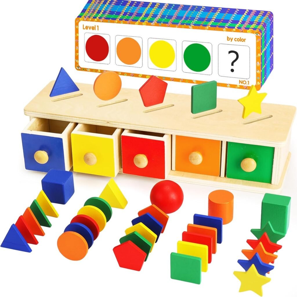 Montessori Toys Wooden Color & Shape Sorter Toys for Toddlers 1-3 Matching Box Sorting Blocks Manipulatives Preschool Learning Activities Educational