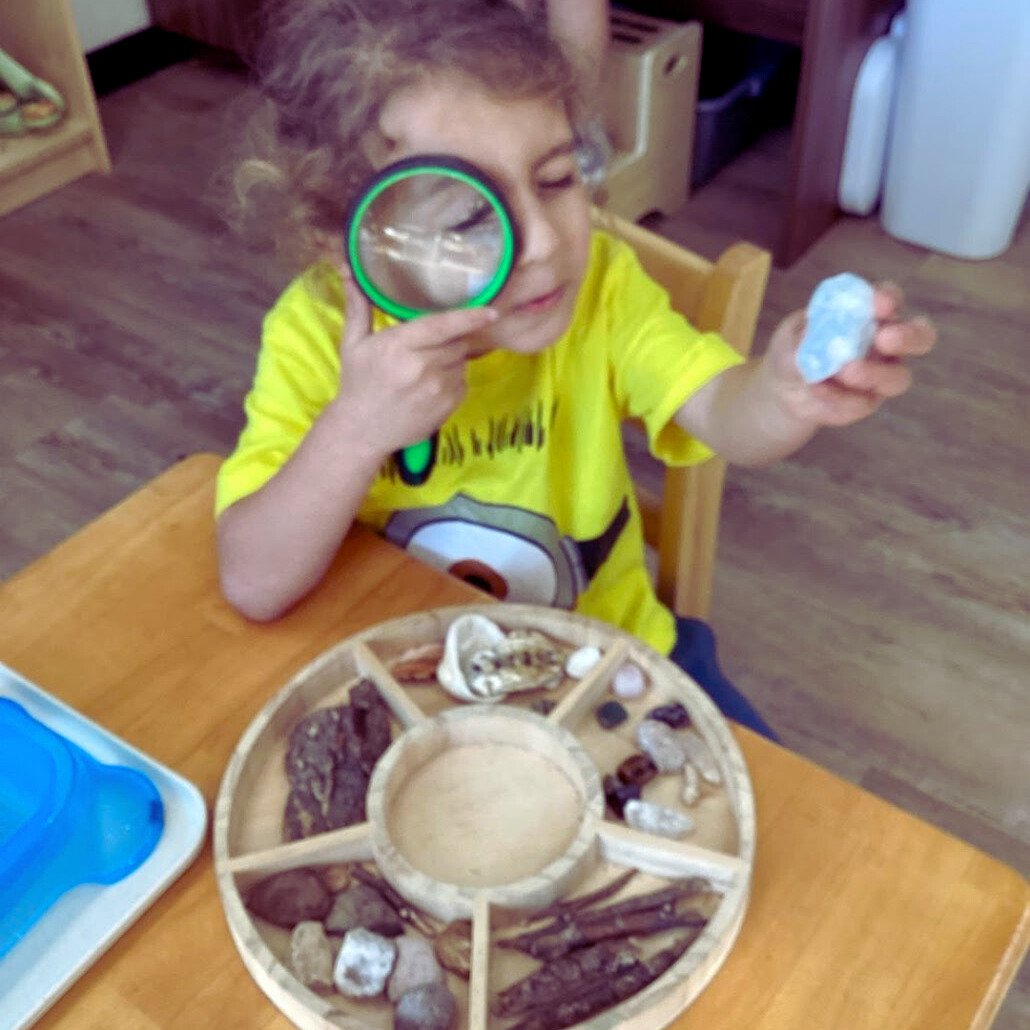 Montessori’s Approach to Science: Exploration and Discovery (Or: How to Raise a Tiny Einstein Without Blowing Up the Kitchen)